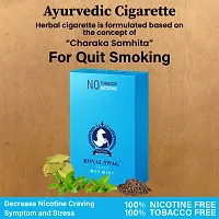 Herbal Cigarette Combo Of Fruit And Mint Flavor 100 Stick Each With Tobacco Nicotine Free With Shot-thumb2