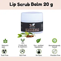 JOYHERBS Lip Scrub For Dark Lips To Lighten Pink For Women And Men For Pigmented Lips 20 Gram | Lip Brightening, Lip Whitening Scrub For Dark Lips, Dull, Dry And Chapped Lips Enriched With Beeswax-thumb3