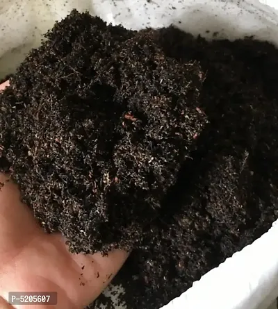 Ready to use Soil (2 kg)