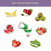 Fruit Feeder Nibbler Nipples Teat Pacifier pack-1 (Multicolour)-thumb1
