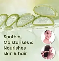 AYUREVER 99% Pure Aloe Vera Gel - Skin and Hair - No Parabens, Silicones, Mineral Oil, Color, Synthetic Fragrance-thumb3