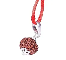 10 Mukhi Rudraksha Original Certified Nepali Natural Das Mukhi Rudraksha  Bead-thumb1