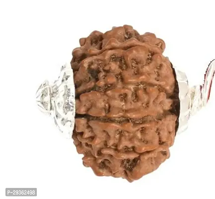 10 Mukhi Rudraksha Original Certified Nepali Collection Rare Quality Beautiful  Attractive 10 Face Dashmukhi Rudraksha Bead-thumb0