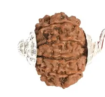 10 Mukhi Rudraksha 10 Faced Indonesia/java Bead Certified Rudraksha-thumb1