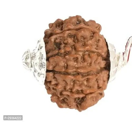 10 Mukhi Rudraksha 10 Faced Indonesia/java Bead Certified Rudraksha-thumb2