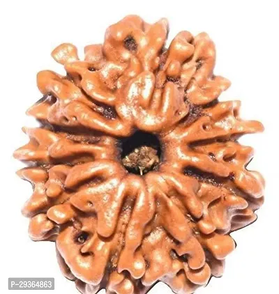 10 Mukhi Rudraksha Original Certified Silver Ten Face Rudraksha For Men and Women-thumb0