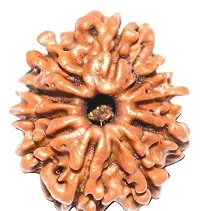 10 Mukhi Rudraksha Original Certified Silver Ten Face Rudraksha For Men and Women-thumb1