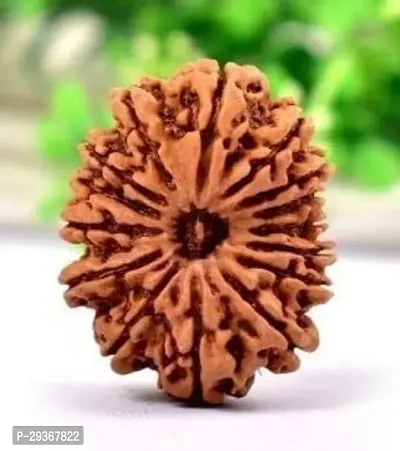 10 Mukhi Rudraksha Original Certified Silver Ten Face Rudraksha For Men and Women