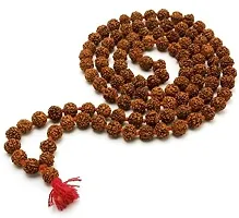 5 Mukhi Rudraksha  with Rudraksha Mala Combo Set for Religious Purpose-thumb2