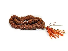 5 Mukhi Rudraksha  with Rudraksha Mala Combo Set for Religious Purpose-thumb2