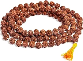 5 Mukhi Rudraksha  with Rudraksha Mala Combo Set for Religious Purpose-thumb2