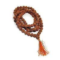 5 Mukhi Rudraksha  with Rudraksha Mala Combo Set for Religious Purpose-thumb2