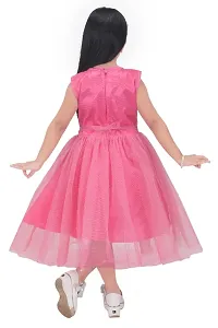 Girls Kids Net Frock-thumb1