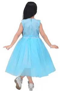 Girls Kids Net Frock-thumb3