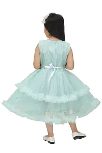 Girls Net frock dresses New-thumb1