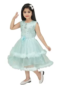 Girls Net frock dresses New-thumb3