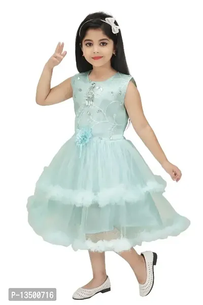 Girls Net frock dresses New-thumb4