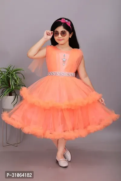 Trendy Net Party Wear Embellished Frock  Dresses For Girls-thumb0