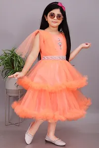 Trendy Net Party Wear Embellished Frock  Dresses For Girls-thumb1