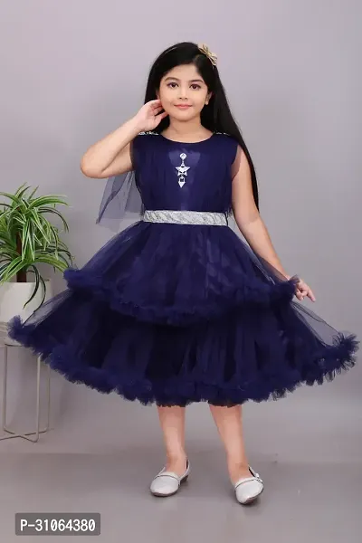 Trendy Net Party Wear Embellished Frock  Dresses For Girls