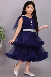 Trendy Net Party Wear Embellished Frock  Dresses For Girls-thumb3