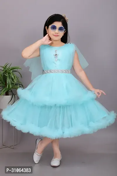 Trendy Net Party Wear Embellished Frock  Dresses For Girls