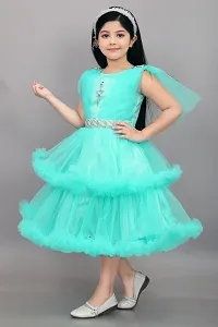 Trendy Net Party Wear Embellished Frock  Dresses For Girls-thumb3