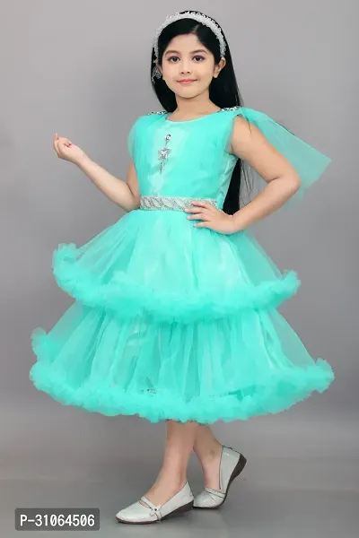 Trendy Net Party Wear Embellished Frock  Dresses For Girls-thumb4