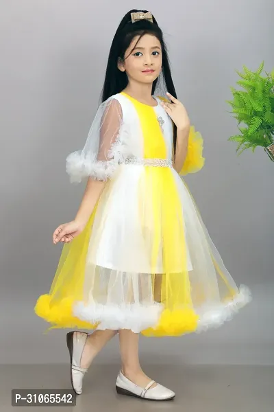 Trendy Net Party Wear Embellished Frock Dresses For Girls-thumb4