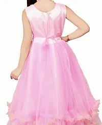 Pink Net Pari Dress-thumb1