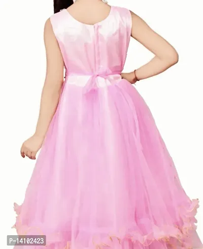 Pink Net Pari Dress-thumb2