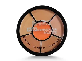 INSIGHT Cosmetics Natural Pro Concealer Palette Powder (Concealer) 15 Grm-thumb3
