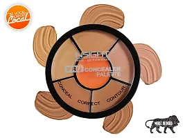 INSIGHT Cosmetics Natural Pro Concealer Palette Powder (Concealer) 15 Grm-thumb4