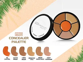 INSIGHT Cosmetics Natural Pro Concealer Palette Powder (Concealer) 15 Grm-thumb1