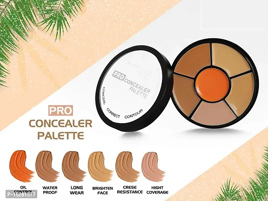 INSIGHT Cosmetics Natural Pro Concealer Palette Powder (Concealer) 15 Grm-thumb2