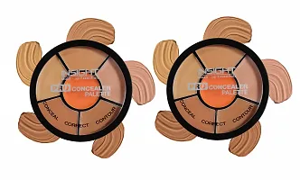 INSIGHT Cosmetics Natural Pro Concealer Palette Powder (Concealer)-15 Grm Pack Of-2-thumb3