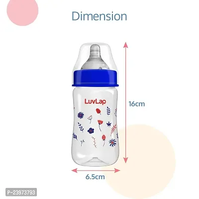 LuvLap Anti-Colic Wide Neck Natura Flo Baby Feeding Bottle, 250ml Blue-thumb5