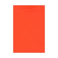 Fabulous Orange Cotton Solid Round Neck Tees For Boys-thumb2