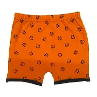 Stylish Cotton Printed Shorts For Infants- Pack Of 10-thumb4