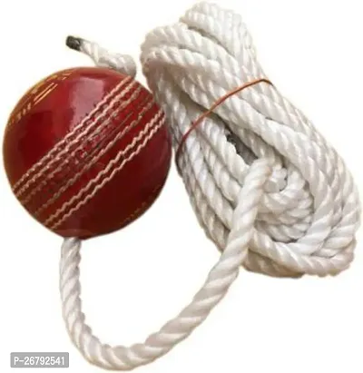 monika sports Cricket Hanging Ball Cricket Training Ball-thumb0