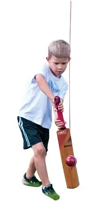 Monika Sports Cricket Bat Knocking Hanging Practice-thumb1