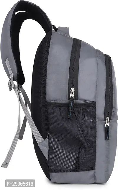 Classic Terror Grey Black Bag 25 L Backpack-thumb3