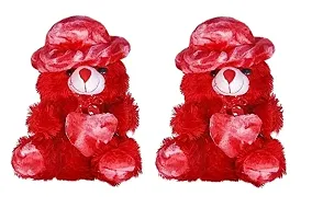 Combo Teddy Bear For Kids-thumb1