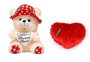 Combo Teddy Bear For Kids-thumb1