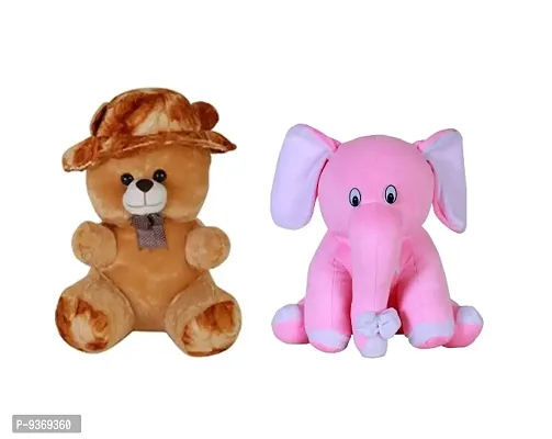 Combo Teddy Bear For Kids