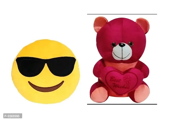 Combo Teddy Bear For Kids