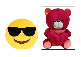 Combo Teddy Bear For Kids-thumb1