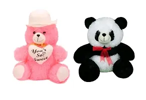 Combo Teddy Bear For Kids-thumb1