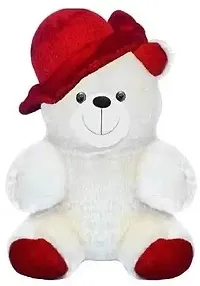 Combo Teddy Bear For Kids-thumb1