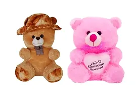 Combo Teddy Bear For Kids-thumb1